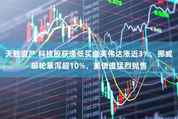 天胜资产 科技股获逢低买盘英伟达涨近3%，挪威邮轮暴泻超10%，美债遭猛烈抛售