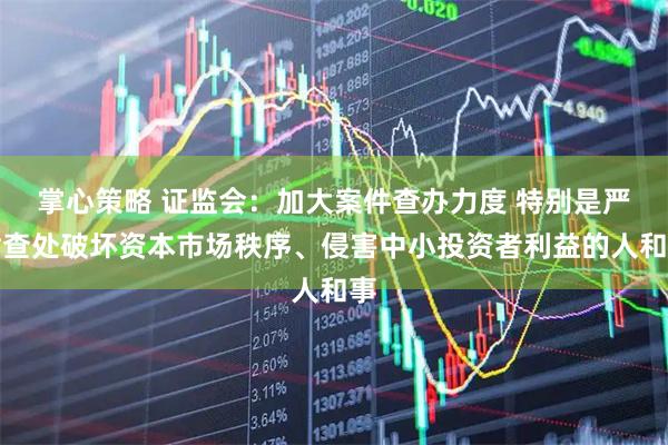 掌心策略 证监会：加大案件查办力度 特别是严肃查处破坏资本市场秩序、侵害中小投资者利益的人和事