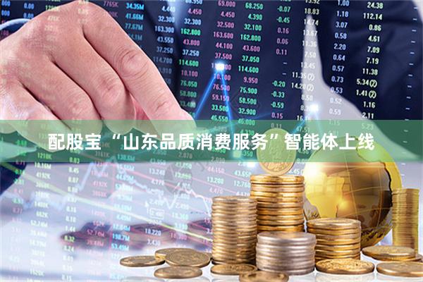 配股宝 “山东品质消费服务”智能体上线