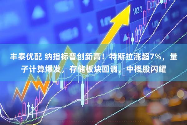 丰泰优配 纳指标普创新高！特斯拉涨超7%，量子计算爆发，存储板块回调，中概股闪耀