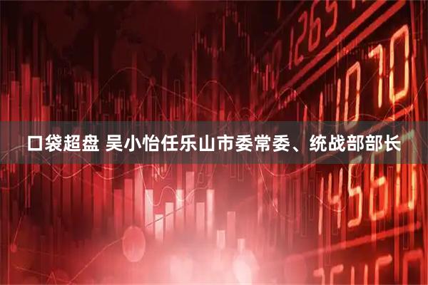 口袋超盘 吴小怡任乐山市委常委、统战部部长