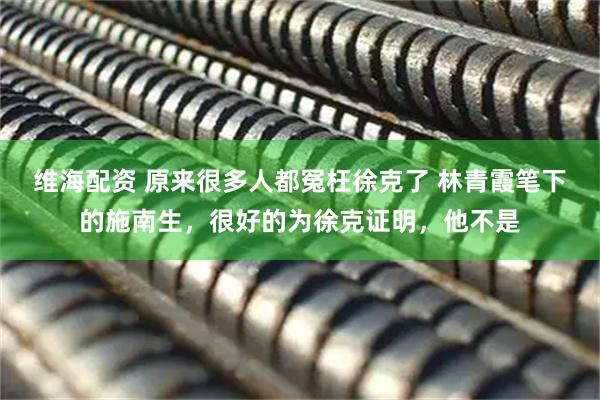 维海配资 原来很多人都冤枉徐克了 林青霞笔下的施南生，很好的为徐克证明，他不是