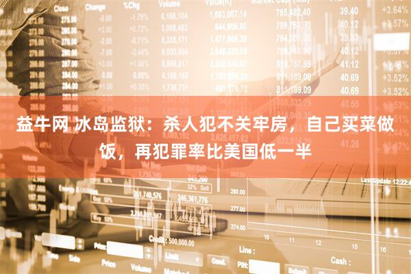 益牛网 冰岛监狱：杀人犯不关牢房，自己买菜做饭，再犯罪率比美国低一半