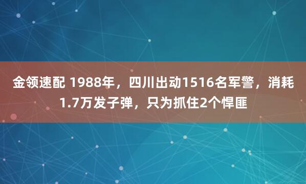 金领速配 1988年,四川出动1516名军警,消耗1.7万发子弹,只为抓住2个悍匪