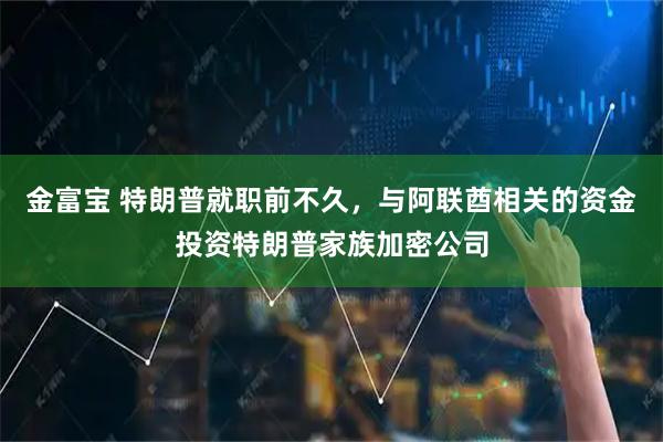 金富宝 特朗普就职前不久，与阿联酋相关的资金投资特朗普家族加密公司