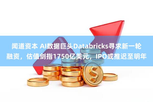 闻道资本 AI数据巨头Databricks寻求新一轮融资，估值剑指1750亿美元，IPO或推迟至明年