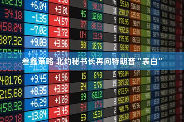 叁鑫策略 北约秘书长再向特朗普“表白”