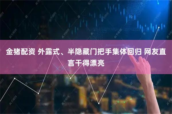 金猪配资 外露式、半隐藏门把手集体回归 网友直言干得漂亮