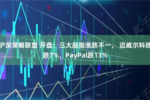 沪深策略联盟 开盘：三大股指涨跌不一， 迈威尔科技跌7%，PayPal跌13%